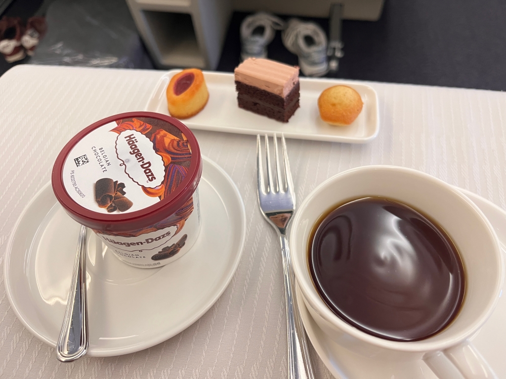 대한항공 비즈니스석 - 하겐다즈